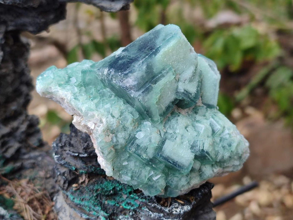Natural Green Cubic Fluorite Specimens x 6 From Mandrosonoro, Madagascar