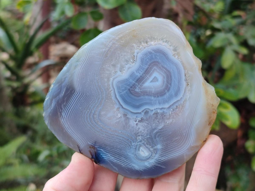 Polished Banded Agate Slices with Natural Edging x 6 From Madagascar