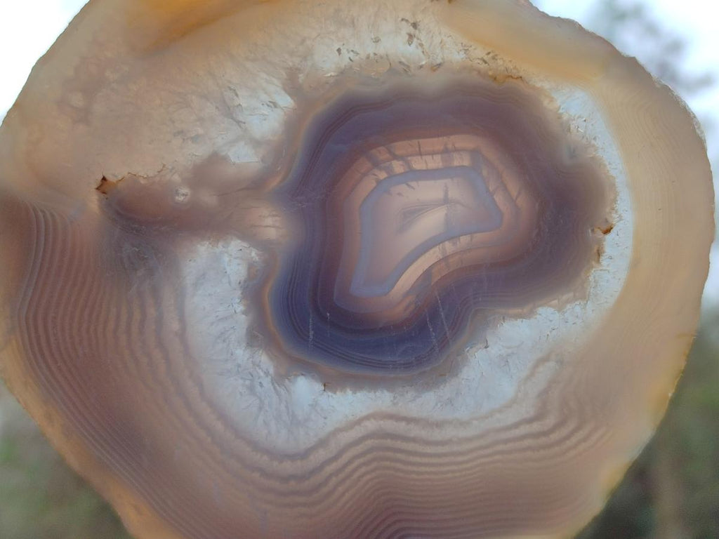 Polished Banded Agate Slices with Natural Edging x 6 From Madagascar