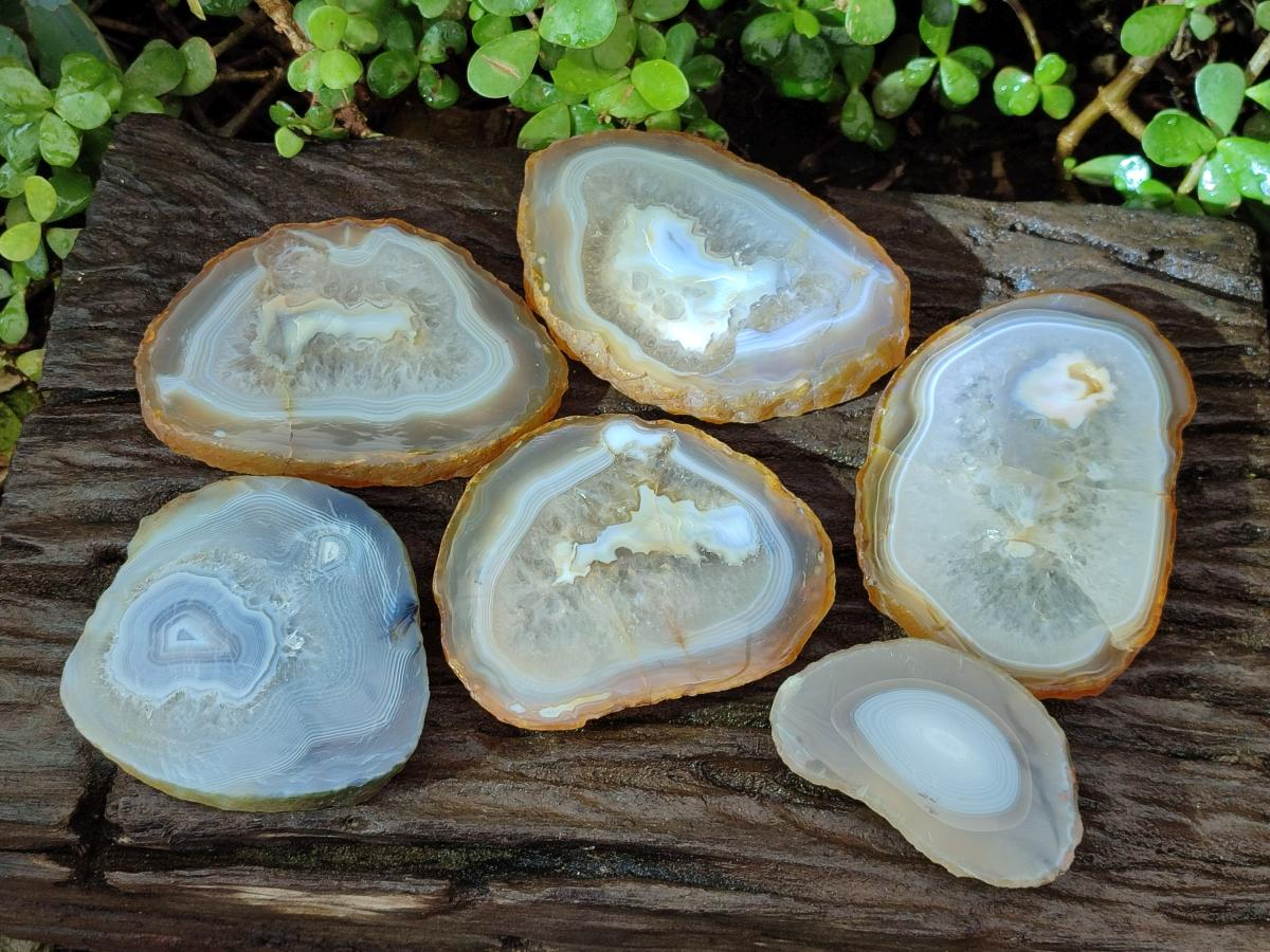 Polished Banded Agate Slices with Natural Edging x 6 From Madagascar