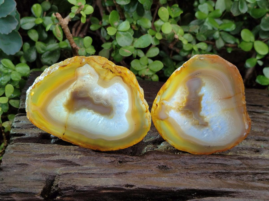 Polished Banded Agate Slices with Natural Edging x 6 From Madagascar