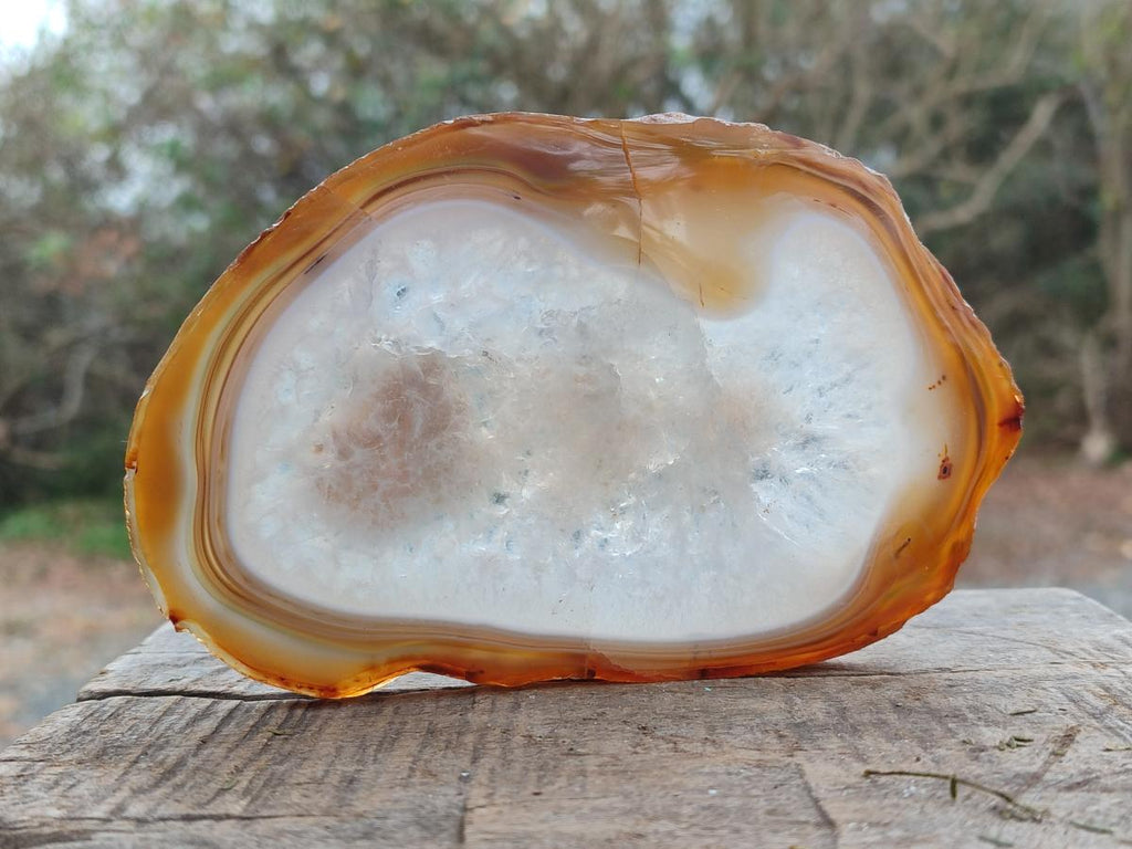 Polished Banded Agate Slices with Natural Edging x 6 From Madagascar