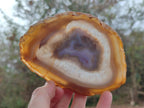Polished Banded Agate Slices with Natural Edging x 6 From Madagascar