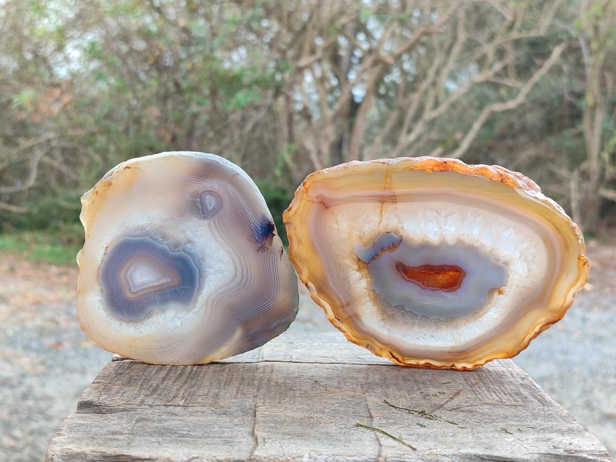 Polished Banded Agate Slices with Natural Edging x 6 From Madagascar