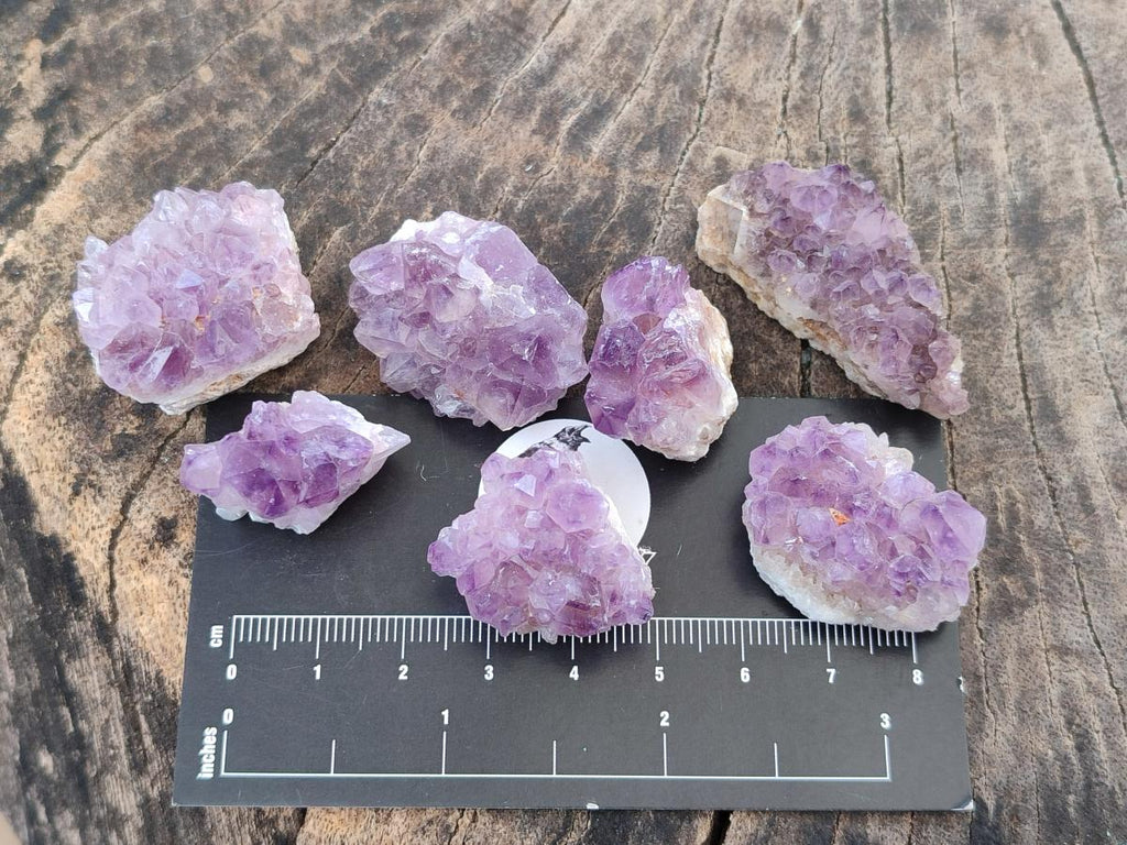 Natural Mini Amethyst Clusters x 72 From Madagascar - Toprock Gemstones and Minerals 