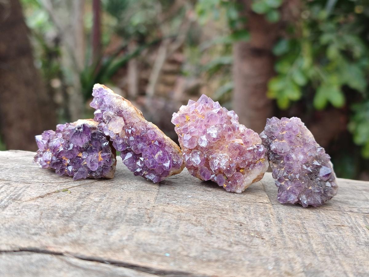Natural Mini Amethyst Clusters x 72 From Madagascar - Toprock Gemstones and Minerals 