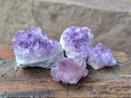 Natural Mini Amethyst Clusters x 72 From Madagascar - Toprock Gemstones and Minerals 