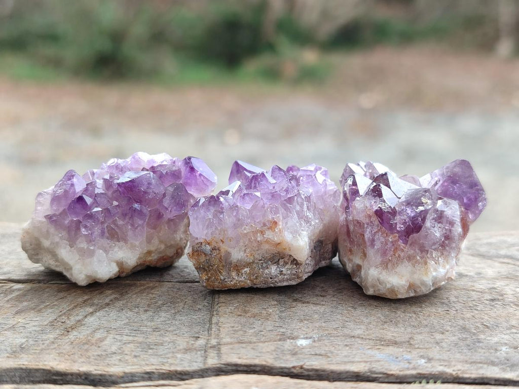 Natural Mini Amethyst Clusters x 72 From Madagascar - Toprock Gemstones and Minerals 