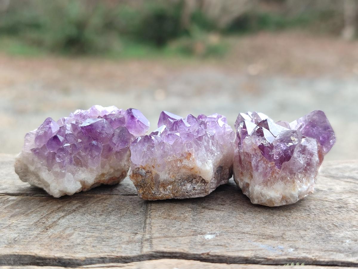 Natural Mini Amethyst Clusters x 72 From Madagascar - Toprock Gemstones and Minerals 