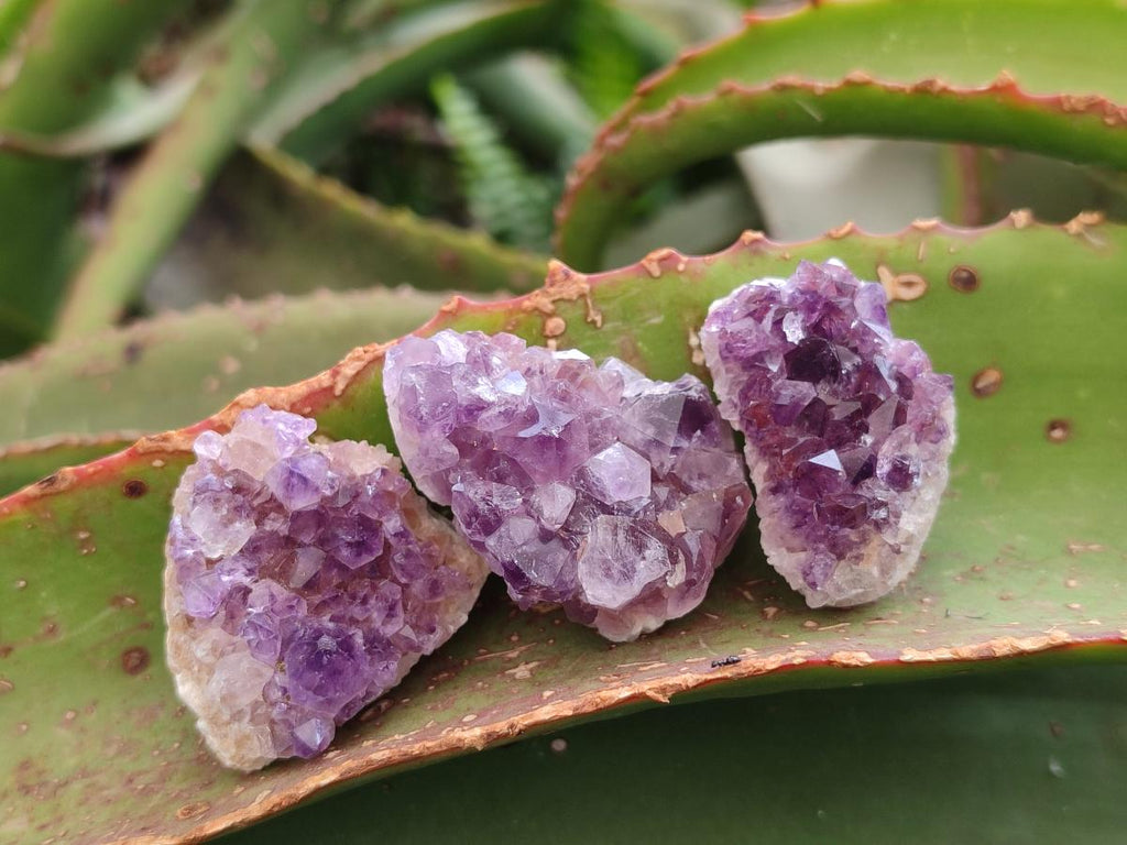 Natural Mini Amethyst Clusters x 72 From Madagascar - Toprock Gemstones and Minerals 
