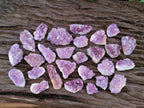 Natural Mini Amethyst Clusters x 72 From Madagascar - Toprock Gemstones and Minerals 