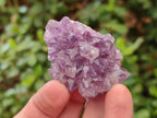 Natural Mini Amethyst Clusters x 72 From Madagascar - Toprock Gemstones and Minerals 