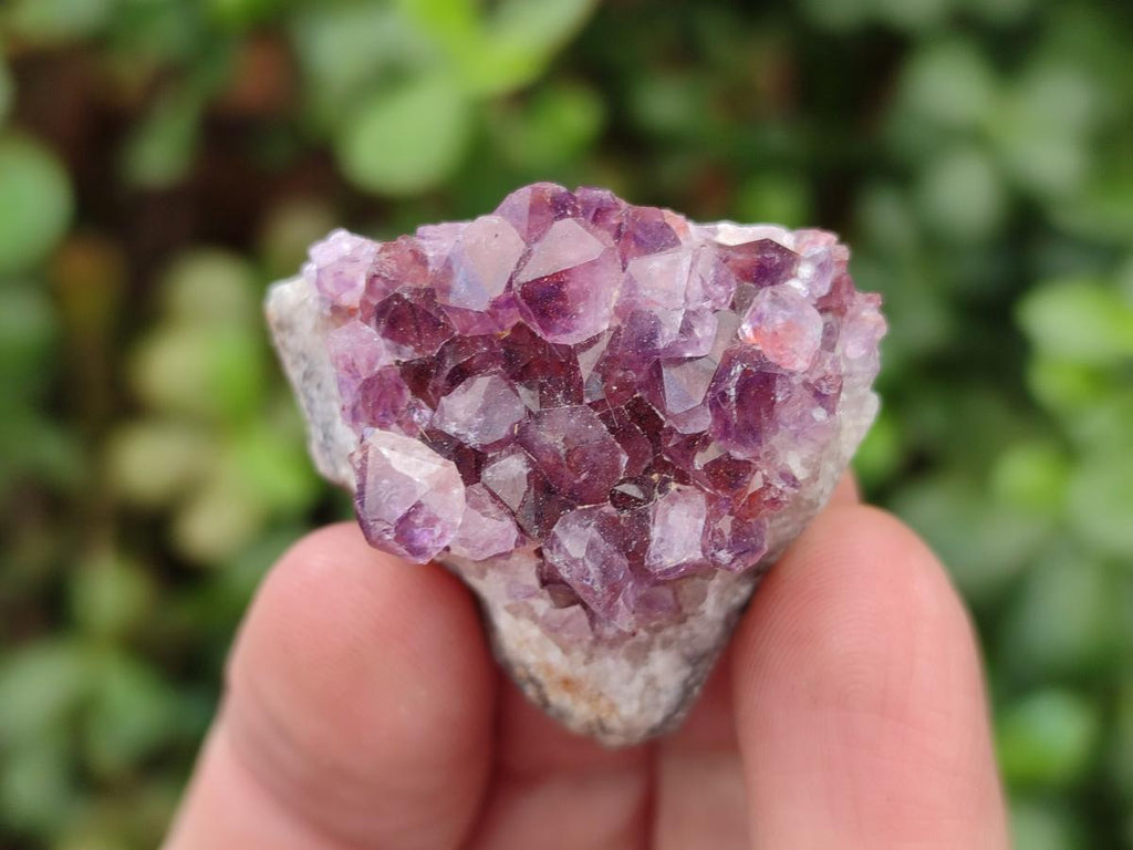 Natural Mini Amethyst Clusters x 72 From Madagascar - Toprock Gemstones and Minerals 