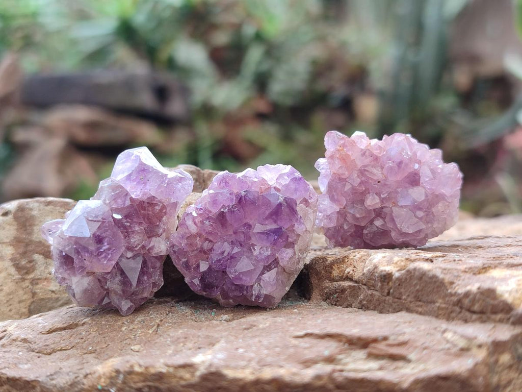 Natural Mini Amethyst Clusters x 72 From Madagascar - Toprock Gemstones and Minerals 