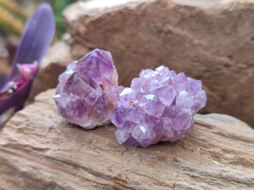 Natural Mini Amethyst Clusters x 72 From Madagascar - Toprock Gemstones and Minerals 