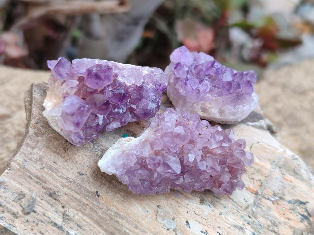 Natural Mini Amethyst Clusters x 72 From Madagascar - Toprock Gemstones and Minerals 