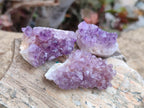 Natural Mini Amethyst Clusters x 72 From Madagascar - Toprock Gemstones and Minerals 