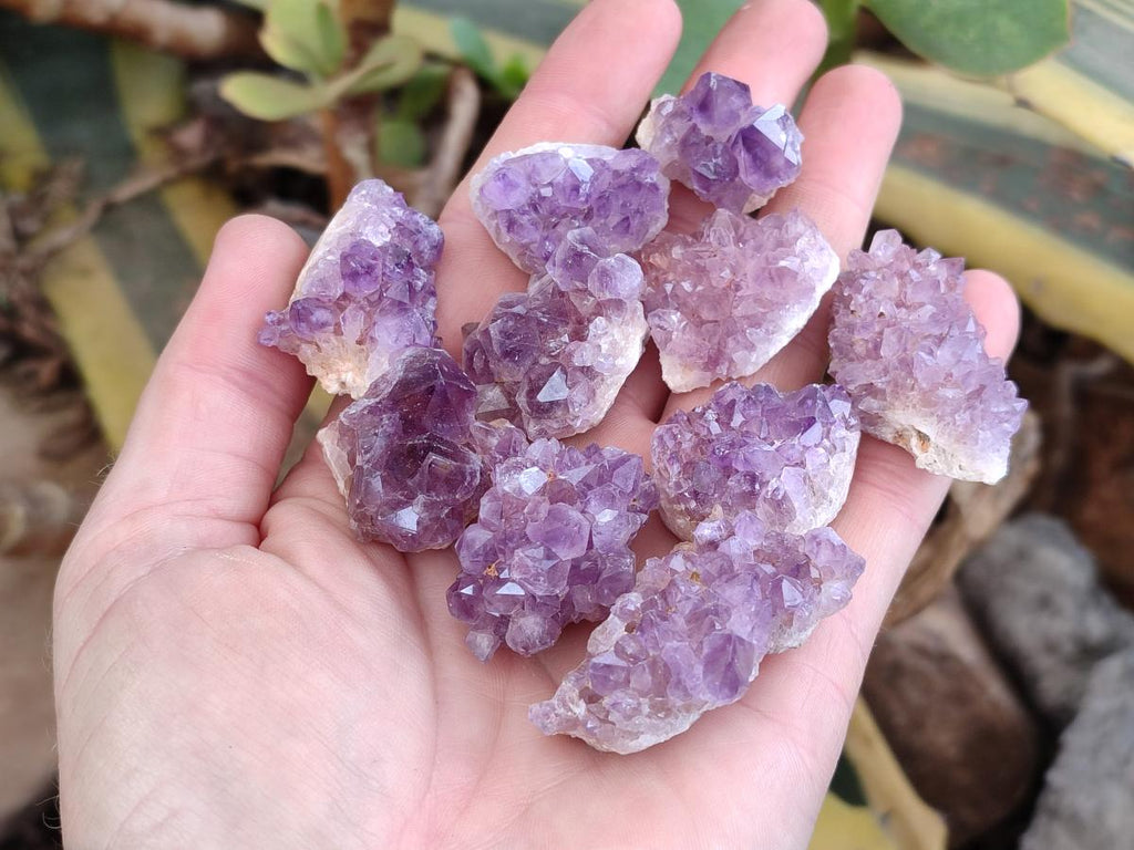 Natural Mini Amethyst Clusters x 72 From Madagascar - Toprock Gemstones and Minerals 