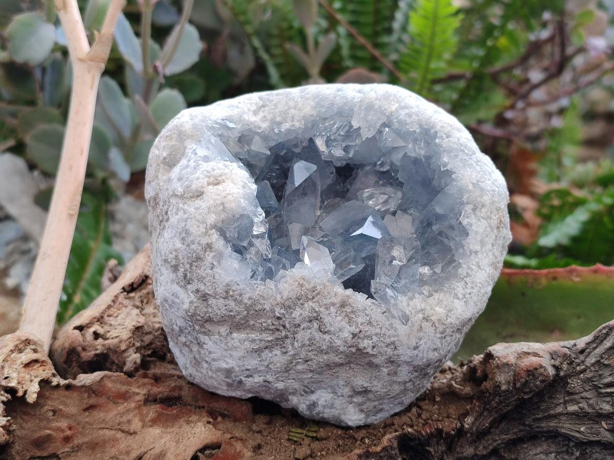 Natural Cabinet Size Blue Celestite Geode Specimens x 2 From Sakoany, Madagascar - Toprock Gemstones and Minerals 