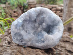 Natural Cabinet Size Blue Celestite Geode Specimens x 2 From Sakoany, Madagascar - Toprock Gemstones and Minerals 