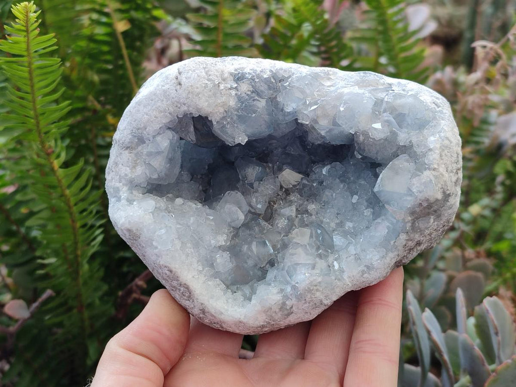 Natural Cabinet Size Blue Celestite Geode Specimens x 2 From Sakoany, Madagascar - Toprock Gemstones and Minerals 
