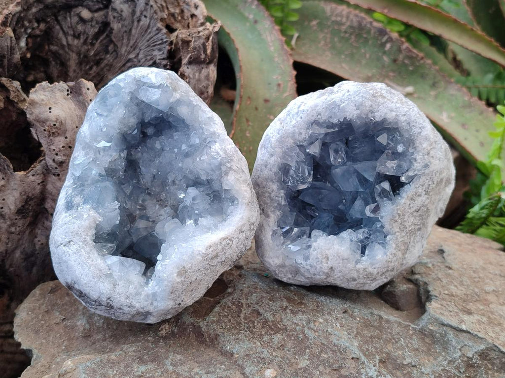Natural Cabinet Size Blue Celestite Geode Specimens x 2 From Sakoany, Madagascar - Toprock Gemstones and Minerals 