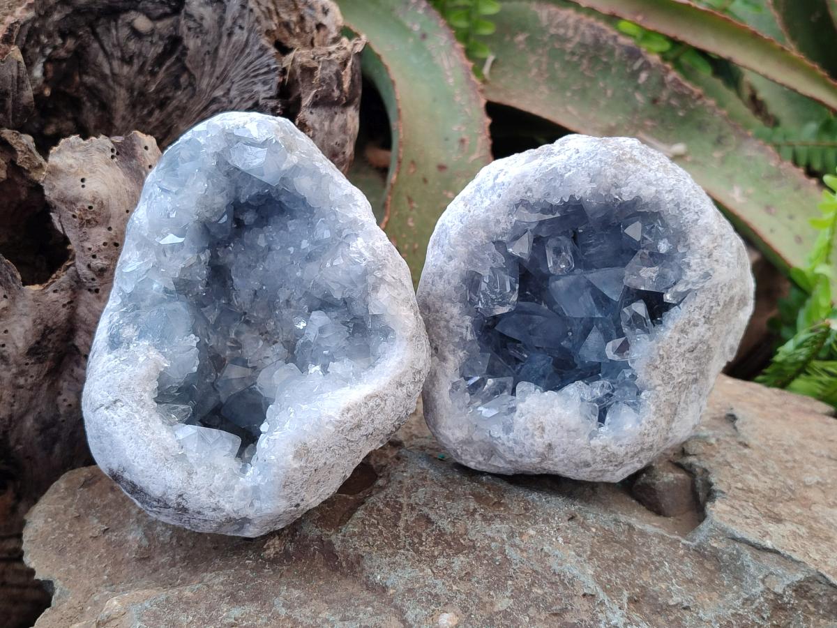 Natural Cabinet Size Blue Celestite Geode Specimens x 2 From Sakoany, Madagascar - Toprock Gemstones and Minerals 