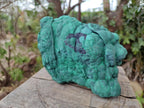 Natural Botryoidal Malachite Specimens x 2 From Congo - Toprock Gemstones and Minerals 