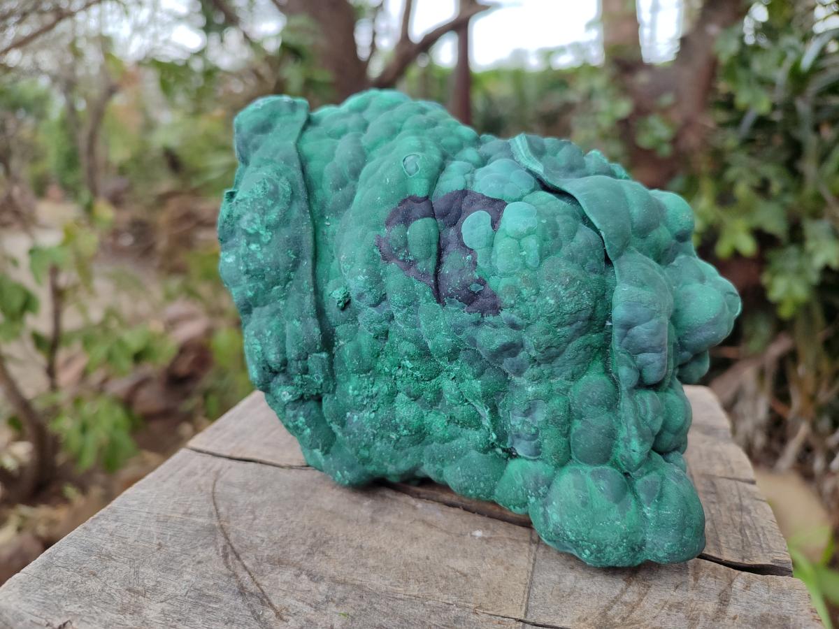 Natural Botryoidal Malachite Specimens x 2 From Congo - Toprock Gemstones and Minerals 