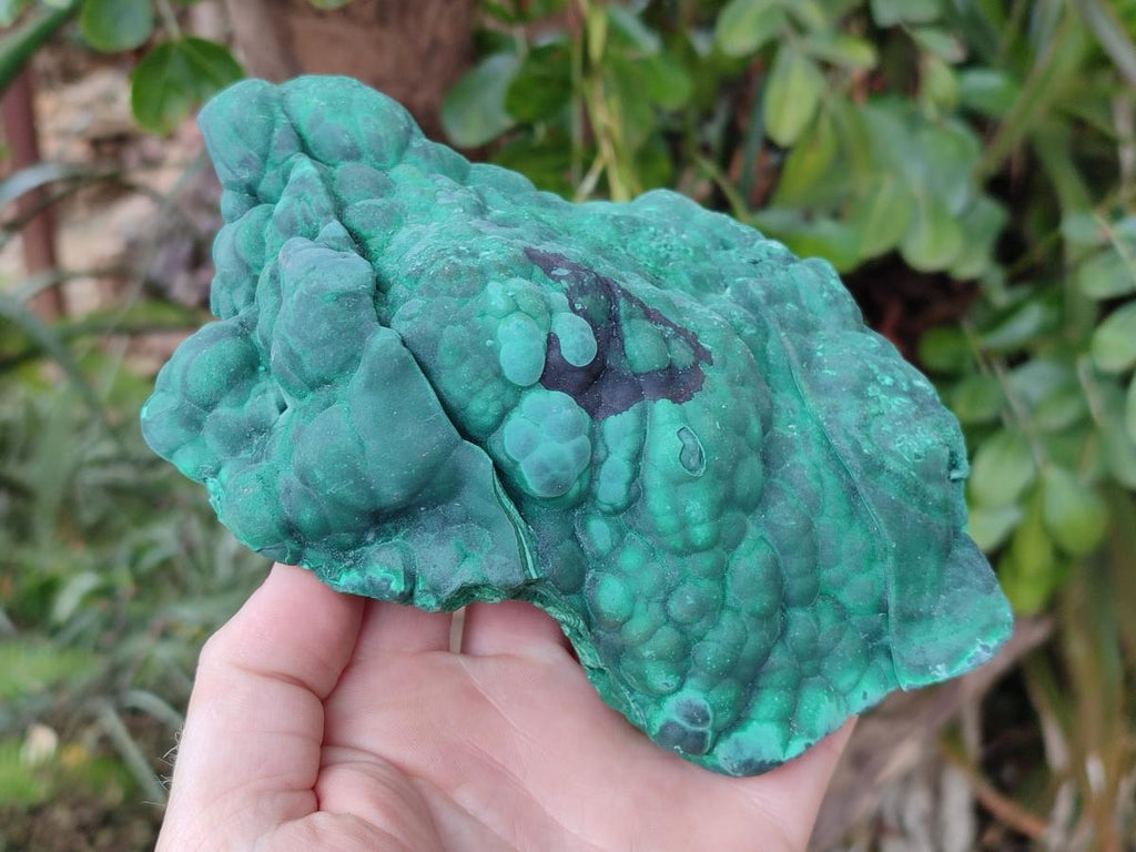 Natural Botryoidal Malachite Specimens x 2 From Congo - Toprock Gemstones and Minerals 