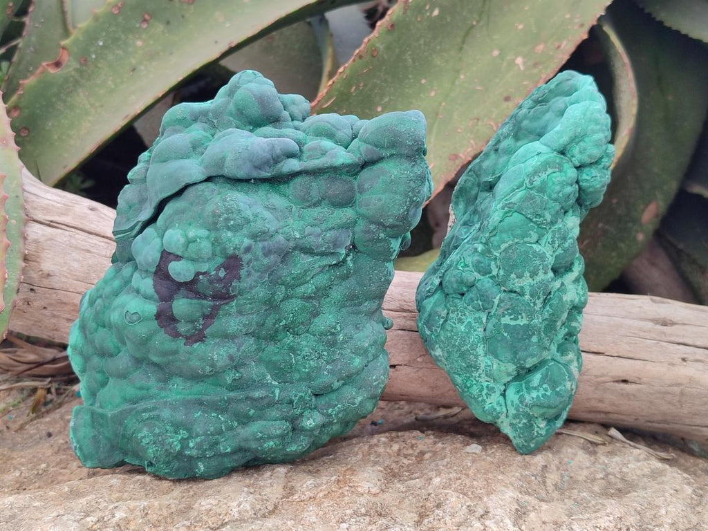 Natural Botryoidal Malachite Specimens x 2 From Congo - Toprock Gemstones and Minerals 