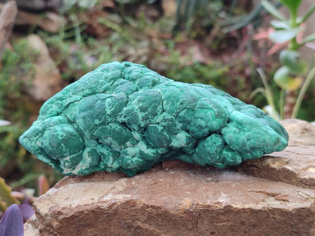 Natural Botryoidal Malachite Specimens x 2 From Congo - Toprock Gemstones and Minerals 