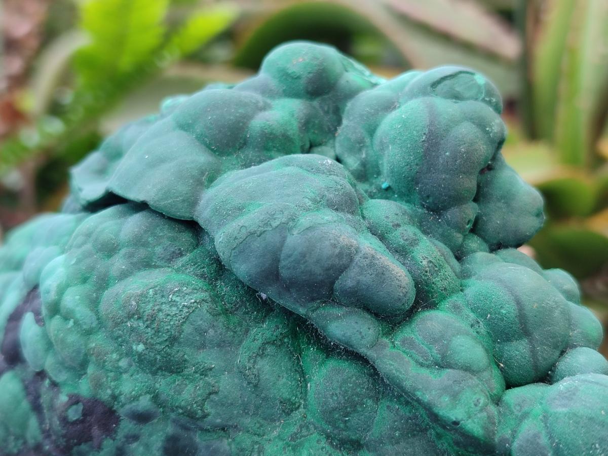 Natural Botryoidal Malachite Specimens x 2 From Congo - Toprock Gemstones and Minerals 