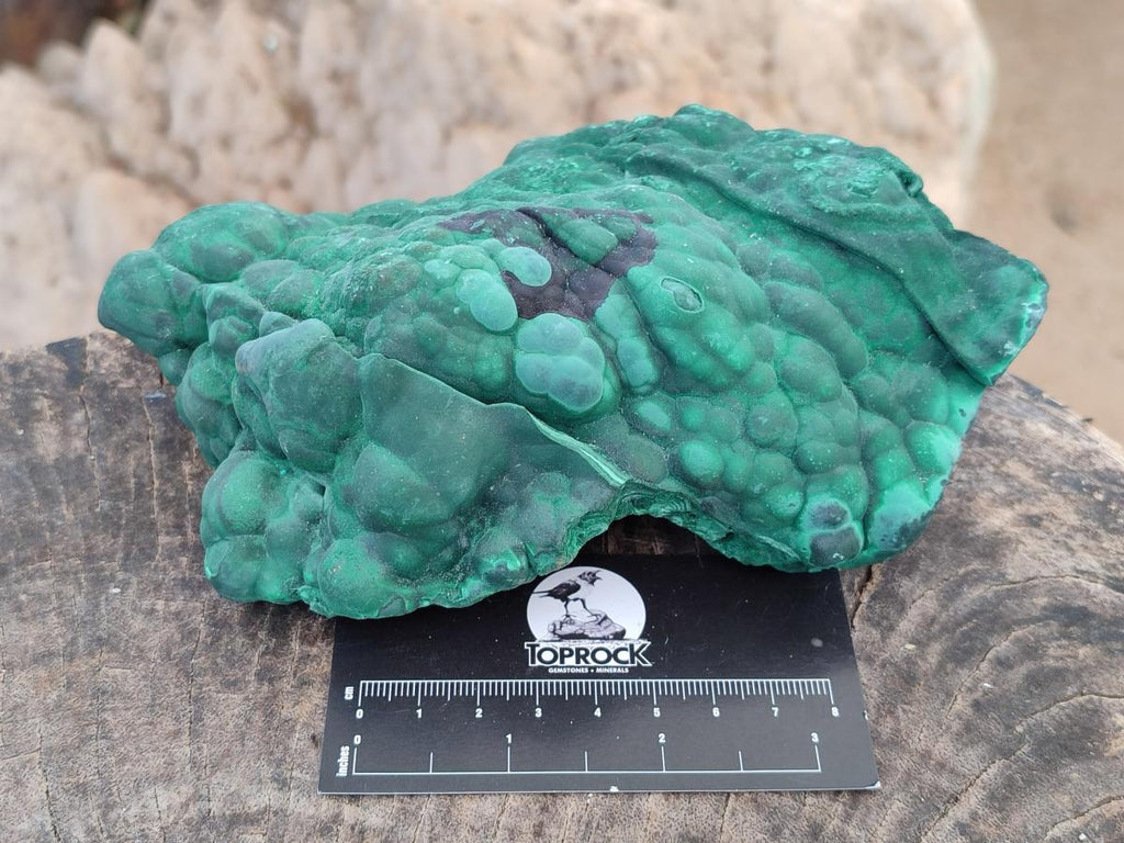 Natural Botryoidal Malachite Specimens x 2 From Congo - Toprock Gemstones and Minerals 