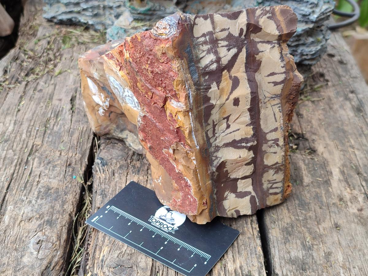 Natural Nguni Jasper Cobbed Specimens x 2 From Northern Cape, South Africa - Toprock Gemstones and Minerals 