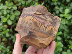 Natural Nguni Jasper Cobbed Specimens x 2 From Northern Cape, South Africa - Toprock Gemstones and Minerals 