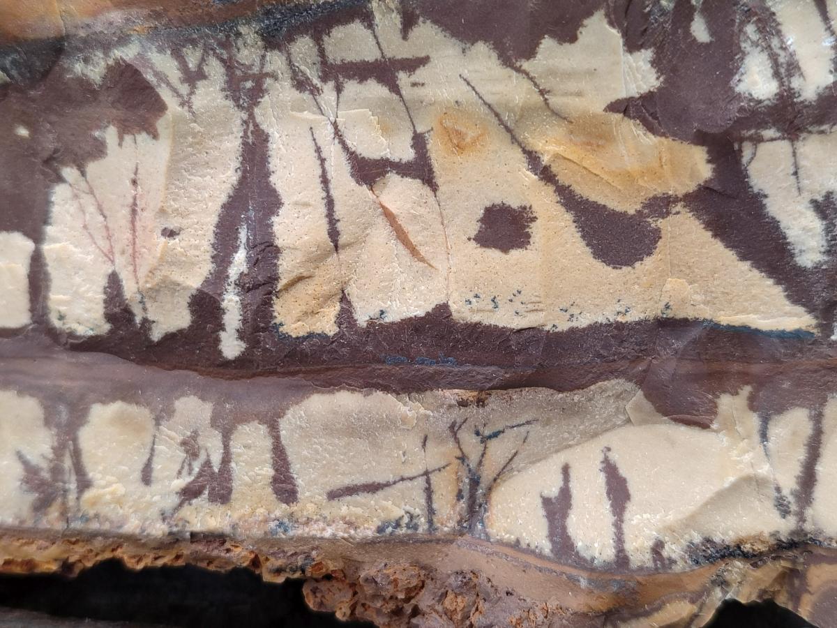 Natural Nguni Jasper Cobbed Specimens x 2 From Northern Cape, South Africa - Toprock Gemstones and Minerals 