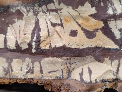 Natural Nguni Jasper Cobbed Specimens x 2 From Northern Cape, South Africa - Toprock Gemstones and Minerals 