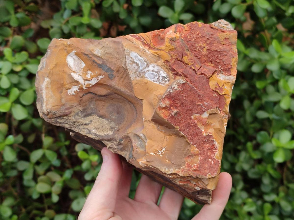 Natural Nguni Jasper Cobbed Specimens x 2 From Northern Cape, South Africa - Toprock Gemstones and Minerals 