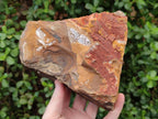 Natural Nguni Jasper Cobbed Specimens x 2 From Northern Cape, South Africa - Toprock Gemstones and Minerals 