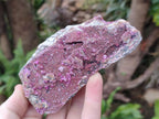 Natural Salrose Cobaltoan Dolomite Specimens with Heterogenite x 6 From Kakanda, Congo - Toprock Gemstones and Minerals 