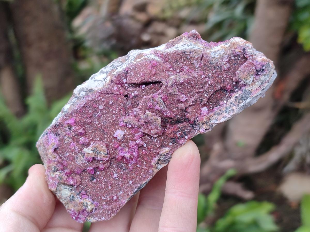 Natural Salrose Cobaltoan Dolomite Specimens with Heterogenite x 6 From Kakanda, Congo - Toprock Gemstones and Minerals 