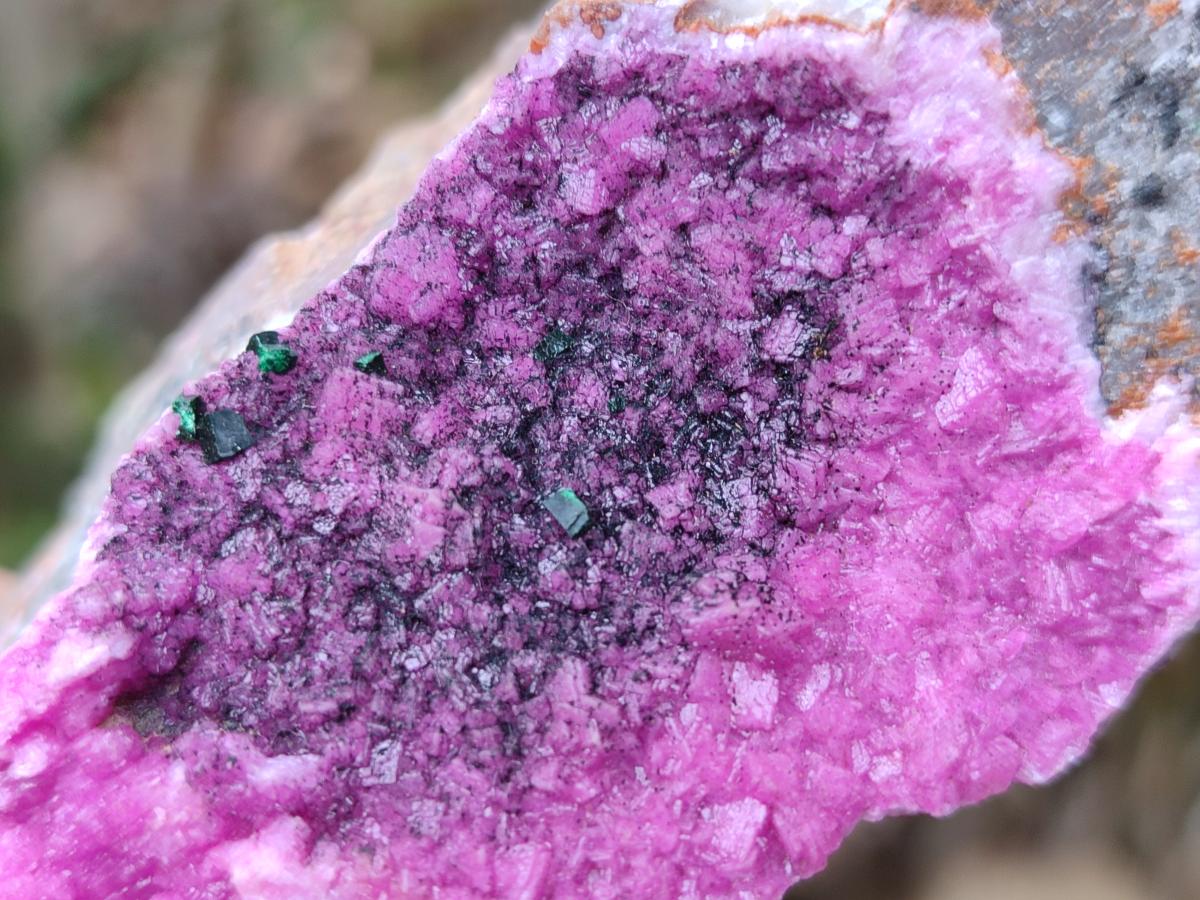 Natural Salrose Cobaltoan Dolomite Specimens with Heterogenite x 6 From Kakanda, Congo - Toprock Gemstones and Minerals 