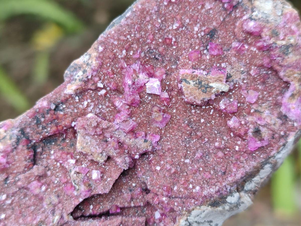 Natural Salrose Cobaltoan Dolomite Specimens with Heterogenite x 6 From Kakanda, Congo - Toprock Gemstones and Minerals 