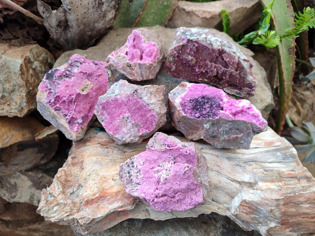 Natural Salrose Cobaltoan Dolomite Specimens with Heterogenite x 6 From Kakanda, Congo - Toprock Gemstones and Minerals 