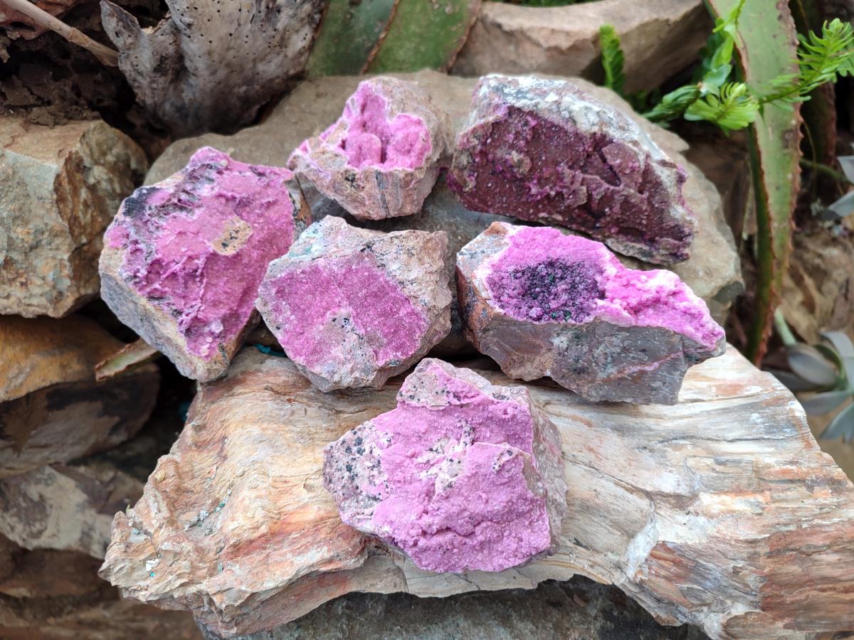 Natural Salrose Cobaltoan Dolomite Specimens with Heterogenite x 6 From Kakanda, Congo - Toprock Gemstones and Minerals 