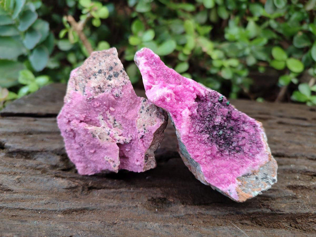 Natural Salrose Cobaltoan Dolomite Specimens with Heterogenite x 6 From Kakanda, Congo - Toprock Gemstones and Minerals 