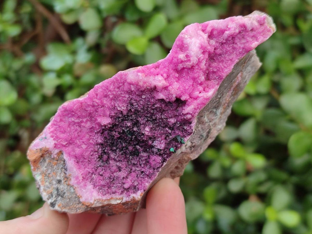 Natural Salrose Cobaltoan Dolomite Specimens with Heterogenite x 6 From Kakanda, Congo - Toprock Gemstones and Minerals 