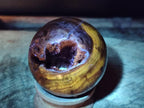 Polished and Natural Dadoxylon Petrified Wood Spheres x 6 From Gokwe, Zimbabwe - Toprock Gemstones and Minerals 