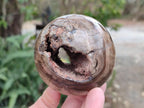 Polished and Natural Dadoxylon Petrified Wood Spheres x 6 From Gokwe, Zimbabwe - Toprock Gemstones and Minerals 